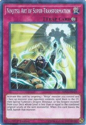 Ninjitsu Art of Super-Transformation