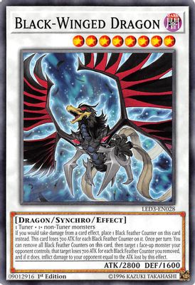 Black-Winged Dragon