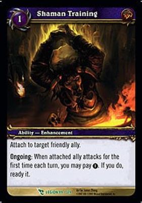 Shaman Training