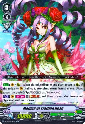 Maiden of Trailing Rose
