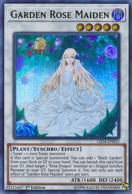 Garden Rose Maiden