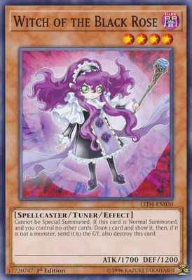 Witch of the Black Rose