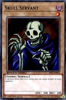 Skull Servant