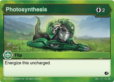 Photosynthesis