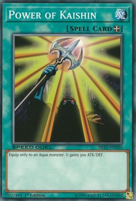 Power of Kaishin