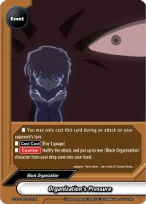 Organization's Pressure