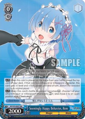 Seemingly Happy Behavior, Rem