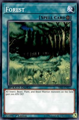 Forest