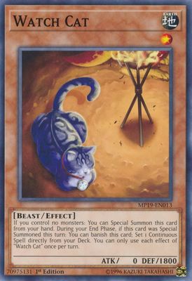 Watch Cat
