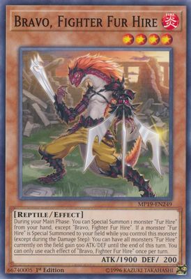Bravo, Fighter Fur Hire