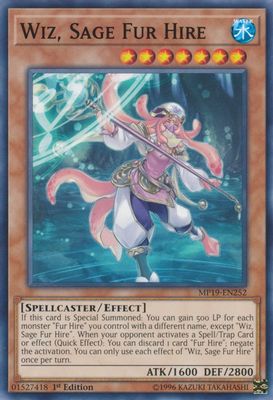 Wiz, Sage Fur Hire