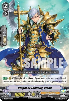 Knight of Tenacity, Aidan