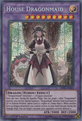 House Dragonmaid