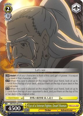 Eye of a Veteran Fighter, Dwarf Shaman