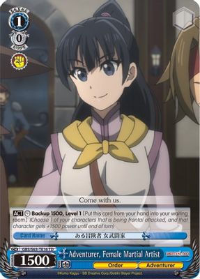 Adventurer, Female Martial Artist
