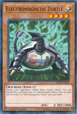 Electromagnetic Turtle