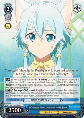 Information About the Virtual World, Sinon