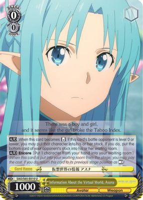 Information About the Virtual World, Asuna