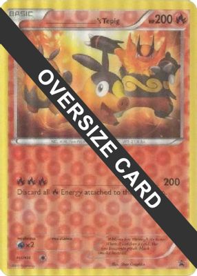 ______'s Tepig