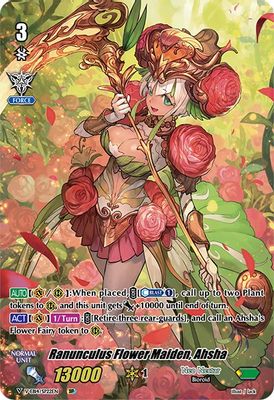 Ranunculus Flower Maiden, Ahsha (SP)