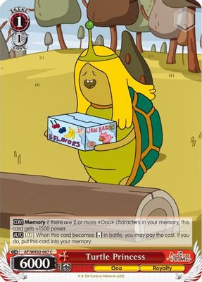 Turtle Princess