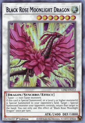 Black Rose Moonlight Dragon (Blue)
