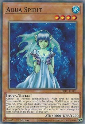 Aqua Spirit