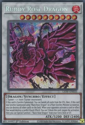 Ruddy Rose Dragon