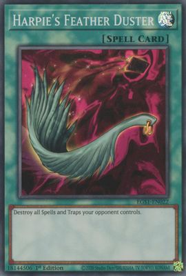 Harpie's Feather Duster