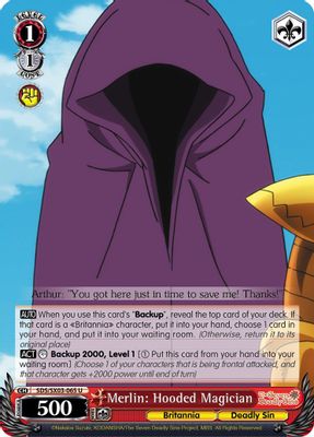 Merlin: Hooded Magician