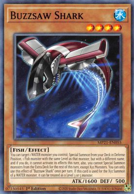 Buzzsaw Shark