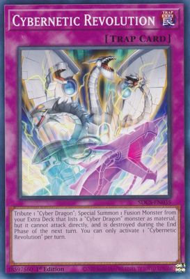 Cybernetic Revolution