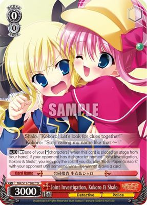 Joint Investigation, Kokoro & Shalo