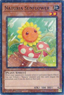 Naturia Sunflower (Duel Terminal)