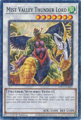 Mist Valley Thunder Lord (Duel Terminal)