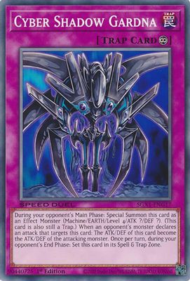Cyber Shadow Gardna