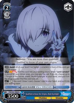 Qualified to Know Her Origins, Mash Kyrielight