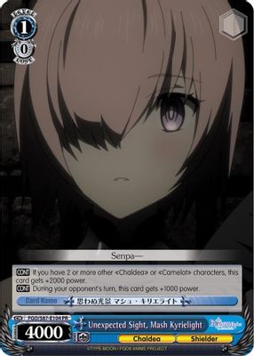 Unexpected Sight, Mash Kyrielight