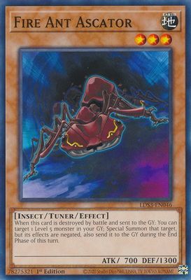 Fire Ant Ascator