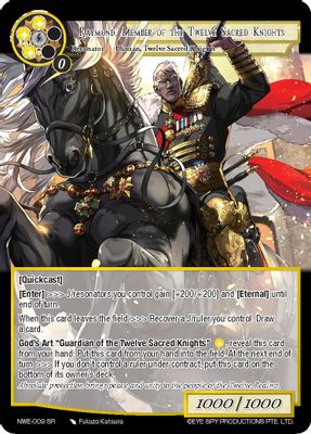 Raymond, Member of the Twelve Sacred Knights