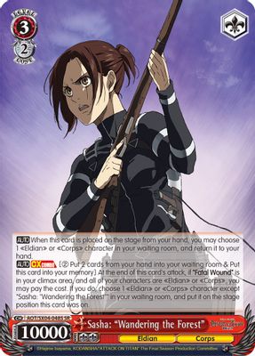 Sasha: 