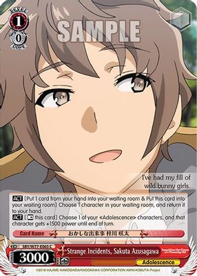 Strange Incidents, Sakuta Azusagawa