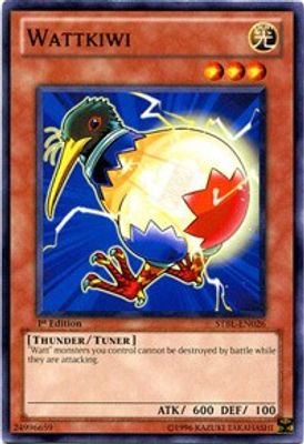 Wattkiwi