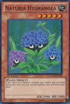 Naturia Hydrangea