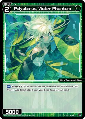 Polypterus, Water Phantom