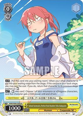 School Swimsuits, Perfect Pool Weather! Miss Kobayashi