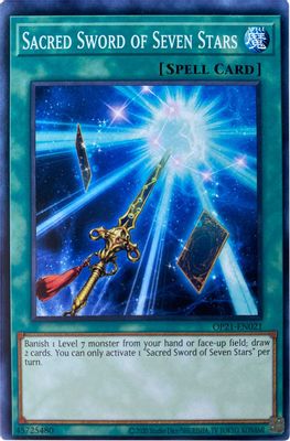 Sacred Sword of Seven Stars