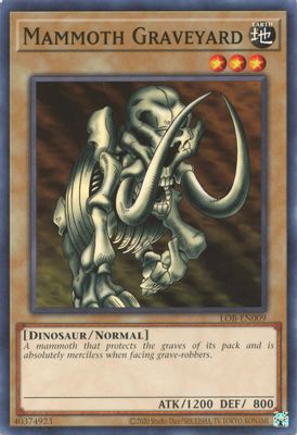 Mammoth Graveyard