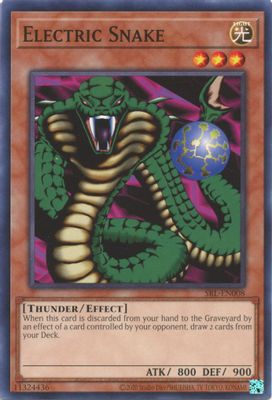 Electric Snake