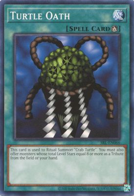 Turtle Oath